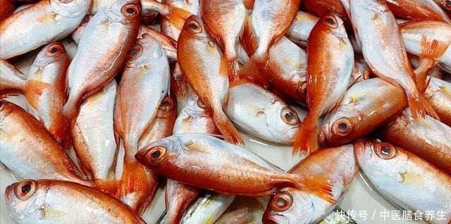 营养|营养极高的“5种鱼”,由于个小被嫌弃,内行人却常吃