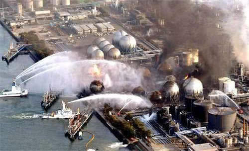  照顾|他不顾家人阻拦，进入福岛核辐射区照顾变异动物6年，如今怎样了