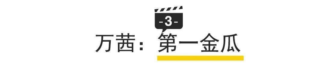 道位|首播破亿姐姐撕逼互怼,跪求加出道位