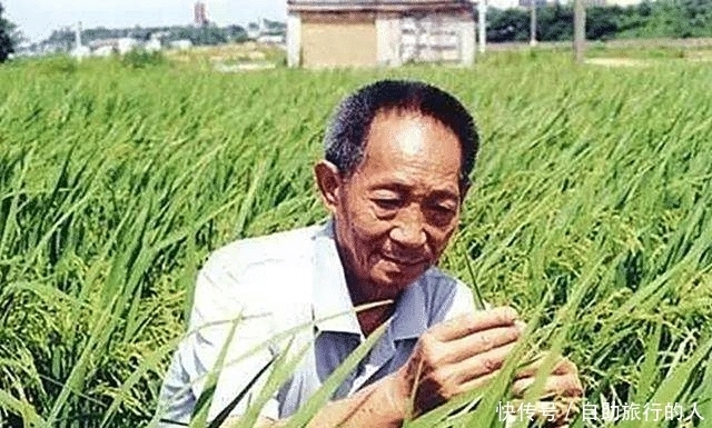 国家做出|袁隆平有个特权,全球只有两个人拥有,另一个是英国女王