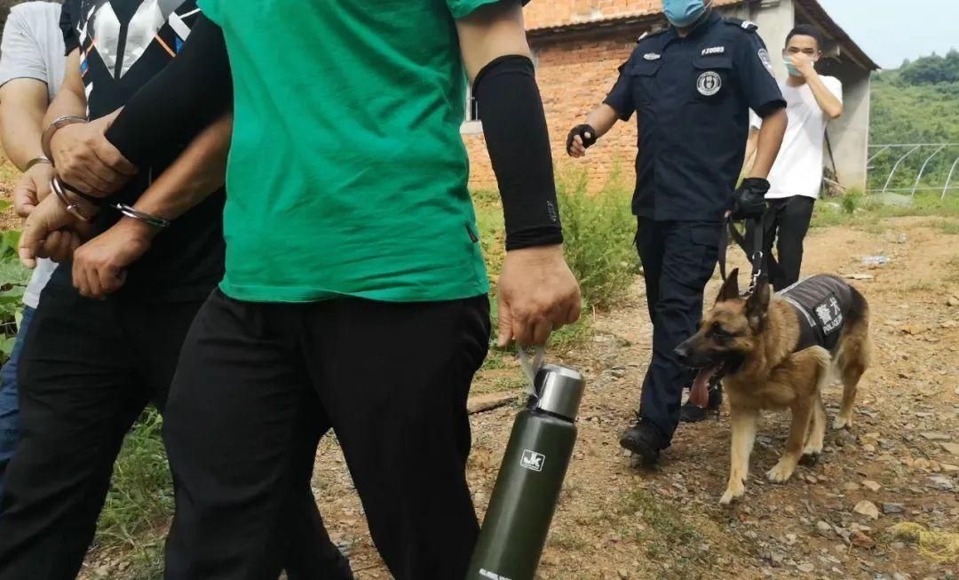 当场|躲进山林干这事无人机+100余名民警出动当场抓获42人