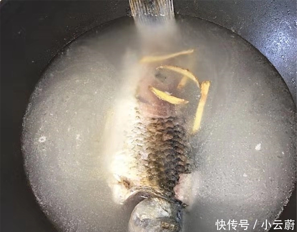 鲫鱼汤|鲫鱼汤最好喝的做法,营养又美味,出锅大人孩子抢着喝,真鲜