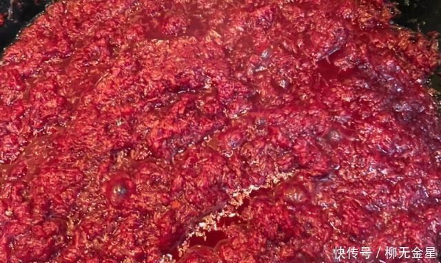 夏天|在夏天,有必要自制来解暑,高颜值杨梅是解暑的好选择,当季是有