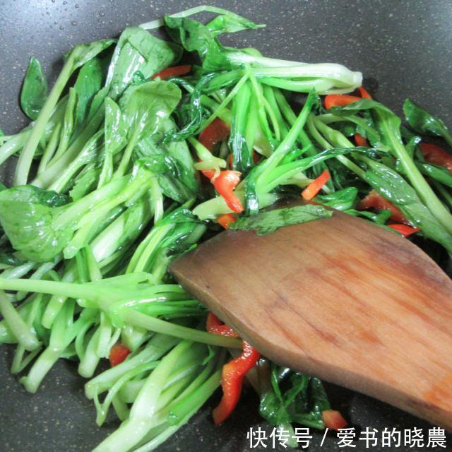 做法|蛏子炒鸡毛菜,鲜美可口,做法简单