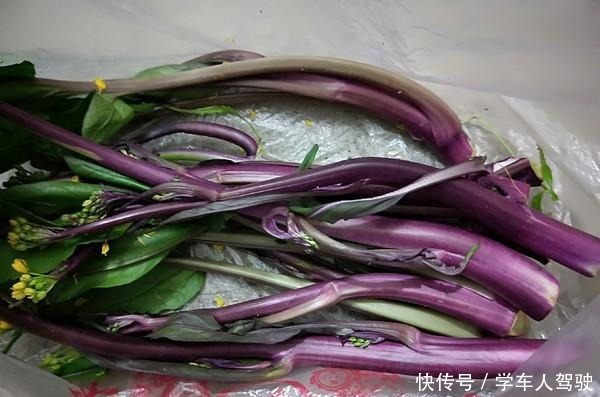 红菜薹|吃它瘦得快,润肠堪比香蕉,1盘相当于跑步半小时,不运动也能瘦