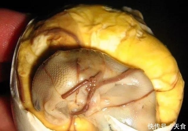 驼鹿鼻子|外国人评的世界10大恶心美食,有两样在我们中国,吃起来还不错