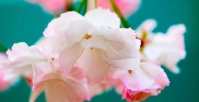 精辟|发人深省的24句人生感悟句子,精辟入骨,一生必读