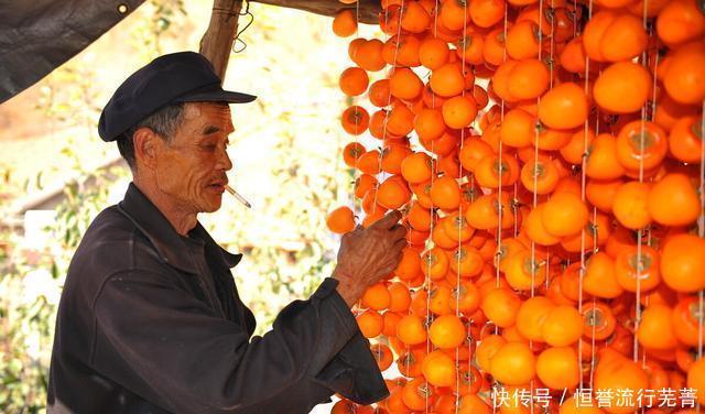 柿子|柿子变柿饼的方法大家要赶紧学起来