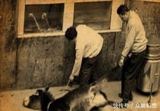 吃法|中国历史上有两道菜吃法非常残忍,现在已经没有人吃了