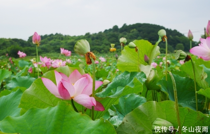  属相|7月下旬开始财厚运旺，有贵人支持，富贵跟着走的三大属相