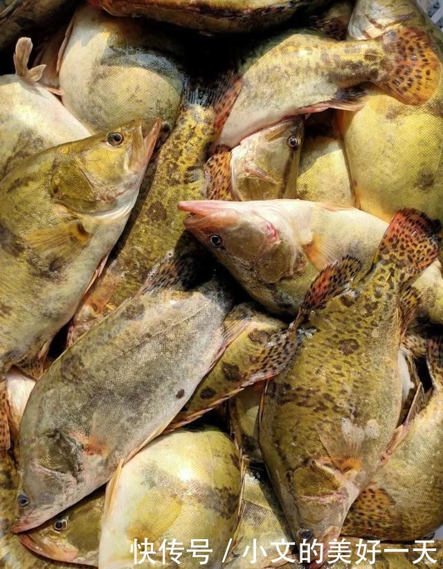 腌制|徽州一绝,闻着有多臭吃着就有多香