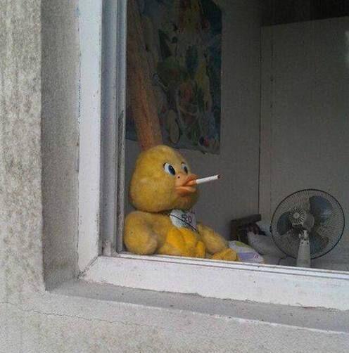 河边|爆笑段子:小时候,一次下雨后去放牛。来到河边时路有点滑