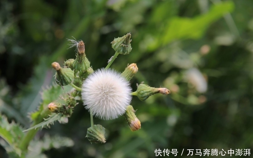  生肖|7月过后最适宜顺势而为，爱情事业齐头并进的4大生肖