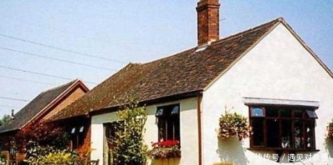 年来|英国老人退休后,把一生所爱献给这片荒地,25年来从不停歇