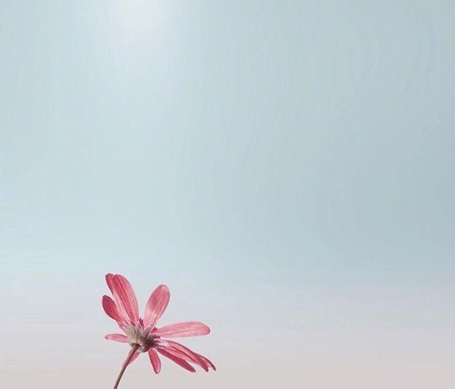  阳光|早安心语正能量阳光说说，开启元气满满的一天