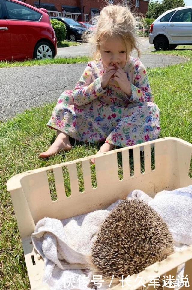  深夜|英国3岁女童深夜熟睡时被刺猬袭击，紧咬脚趾不放，吓坏了母亲