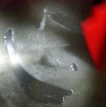 可口|山楂加冰糖,教你在家自制“糖雪球”,5分钟学会,山楂酸甜可口