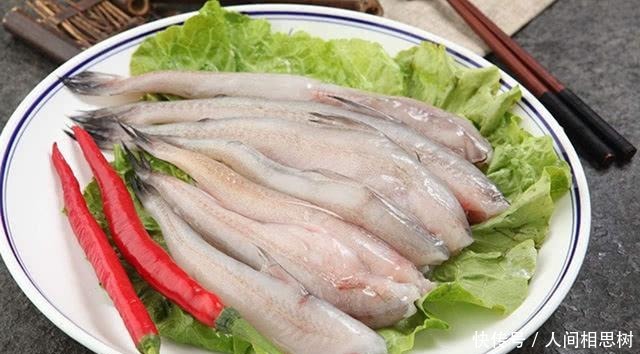 普宁豆酱|这鱼名字不好听,但潮汕人超爱吃,鱼刺少肉多,10元能买两斤