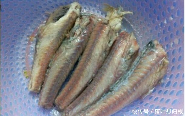 成功|最“成功”的入侵生物,中国人都不敢吃,在印度就被吃到灭绝