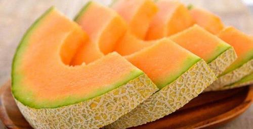 哈密瓜|康熙400年前叫错一水果名，误导国人至今，如今你的叫法也错了？