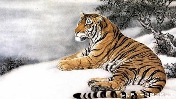  发软|做什么事都财运滚滚，大把大把的钱数到手发软，这几个属相财运广