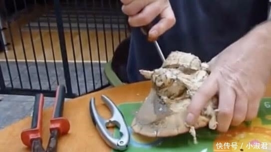 日本|试吃日本800元一只的面包蟹, 敲开瞬间才知道什么是“顶级海鲜”