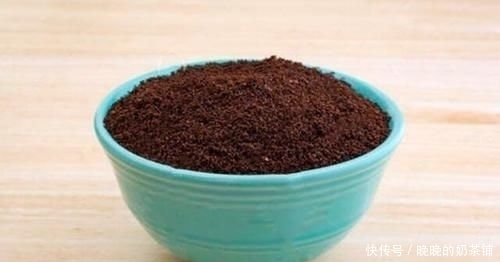 闹笑话|去西餐厅吃饭,服务员端上一盘“巧克力粉”,吃掉是会闹笑话的