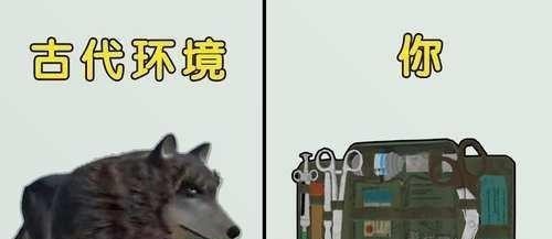 穿越|绝地求生：如果穿越回古代，只带1种道具防身，选哪个才能称王？