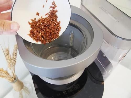 适合|适合老人喝的核桃糊,燕麦紫薯加核桃,淡淡清香很诱人