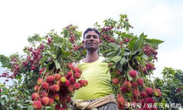 引进|印度效仿中国,将特产引进后再出口,结果被当成“毒药”,为何?