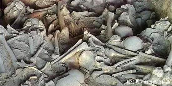 残酷|史书中那些轻描淡写的话，曾经为其热血沸腾，现在才懂背后的残酷