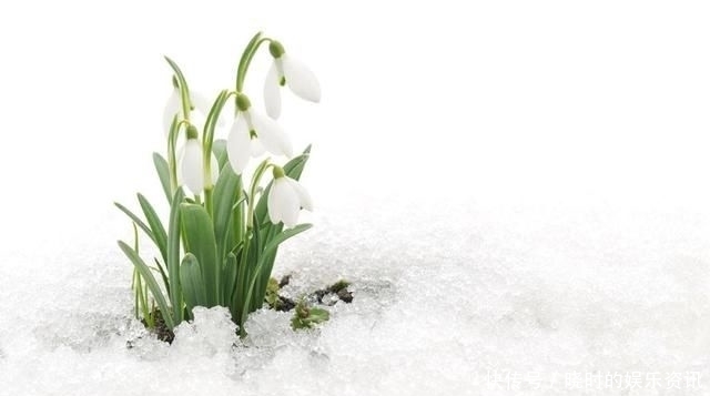 择一人深爱,等一人终老|诗词 | 深爱