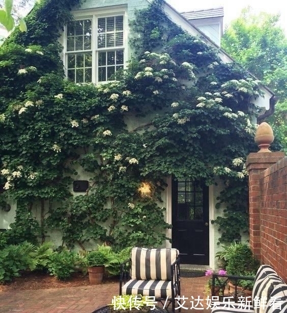 暮年|你我暮年,有个小院,足矣!