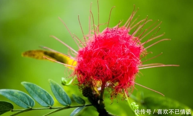 宏图大展|九月上旬,吉星庇佑,财运旺盛,宏图大展,财厚运旺的3生肖!