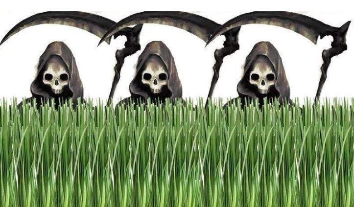 抓住了你|一个“韭菜”的自白要想不被“割韭菜”，从这两方面改变