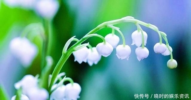 择一人深爱,等一人终老|诗词 | 深爱