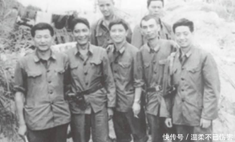 踩踏|撤离越南,工兵埋雷被水牛踩踏,枪扫水牛:要把地雷留给越军