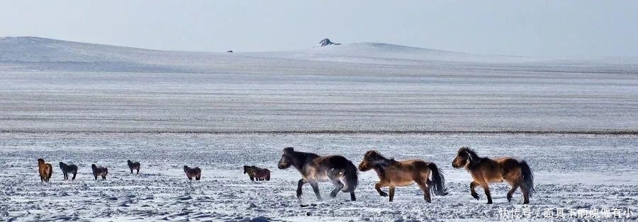  东突厥|胜之不武的霸业: 李唐王朝摧毁东突厥汗国始末