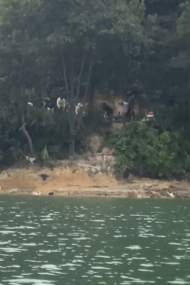 t11508c75c820af8bc78fac7794.webp?size=62