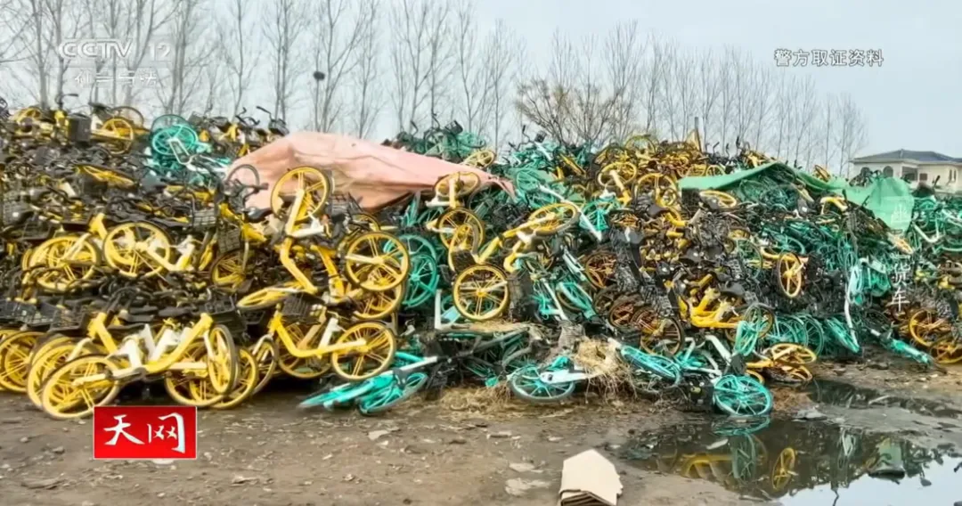 t11508c75c8b92c1bb1401e0aa4.png?size=108